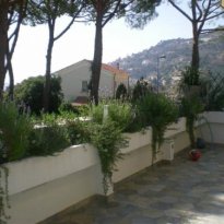 Latte di Ventimiglia Liguria
