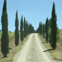 San Casciano dei Bagni Toscana